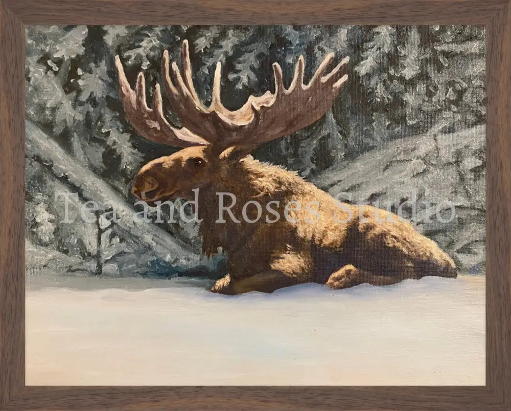 Print of ’Moose by Moonlight’ by Gabriel Miller ’Moose By Moonlight’ 11x14 Fine Art Print - Wooden Frame Fine Art Print